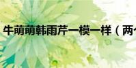 牛萌萌韩雨芹一模一样(两个人是什么关系)