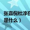 张嘉倪杜淳在一起多久（两个人分手的原因会是什么）