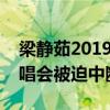 梁静茹2019有演唱会吗（知情人爆料洛阳演唱会被迫中断）
