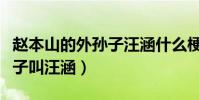 赵本山的外孙子汪涵什么梗(网曝赵本山外孙子叫汪涵)