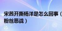 宋茜开撕杨洋是怎么回事(两人传出恋情引起粉丝恶战)