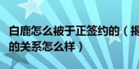 白鹿怎么被于正签约的(揭秘于正和白鹿私下的关系怎么样)
