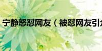 宁静怒怼网友(被怼网友引众人怒火是为何)
