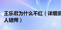 王乐君为什么不红(详细资料被扒不火原因令人错愕)