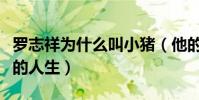 罗志祥为什么叫小猪(他的人生就是肥宅逆袭的人生)
