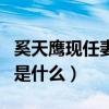 奚天鹰现任妻子是谁（奚天鹰与茹萍离婚原因是什么）
