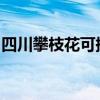 四川攀枝花可提供大金空调维修服务地址在哪