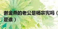 谢金燕的老公是杨宗宪吗(谢金燕孩子的生父是谁)
