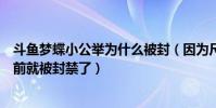 斗鱼梦蝶小公举为什么被封(因为尺度较大她的微博很早之前就被封禁了)