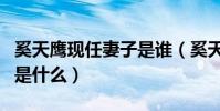 奚天鹰现任妻子是谁(奚天鹰与茹萍离婚原因是什么)