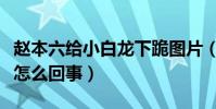 赵本六给小白龙下跪图片(小白龙追打赵本六怎么回事)