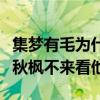 集梦有毛为什么退网（有毛吐露心声抱怨血色秋枫不来看他）