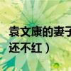 袁文康的妻子是谁（有颜值有实力的他为什么还不红）