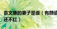 袁文康的妻子是谁(有颜值有实力的他为什么还不红)