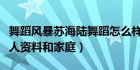舞蹈风暴苏海陆舞蹈怎么样(起底苏海陆的个人资料和家庭)