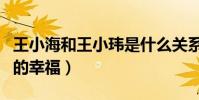 王小海和王小玮是什么关系(两人结婚后非常的幸福)