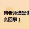 狗老师遭黑讲述停播的原因（狗老师被拘留怎么回事）