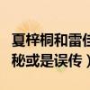 夏梓桐和雷佳音在一起过吗（两人私下关系揭秘或是误传）
