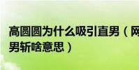 高圆圆为什么吸引直男(网曝高圆圆被称为直男斩啥意思)