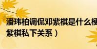 潘玮柏调侃邓紫棋是什么梗(揭秘潘玮柏和邓紫棋私下关系)