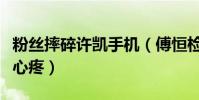 粉丝摔碎许凯手机(傅恒检查手机面露苦笑惹心疼)