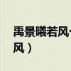 禹景曦若风个人资料（miss为什么看不上若风）