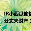 IR小西瓜偷情是真的吗（反咬一口还要打官司分丈夫财产）