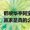 鹤唳华亭阿宝真实身份是什么（曝阿宝是人生赢家是真的么）