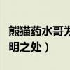 熊猫药水哥为什么总是被骂（这是药水哥的高明之处）