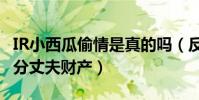 IR小西瓜偷情是真的吗(反咬一口还要打官司分丈夫财产)