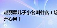 赵丽颖儿子小名叫什么(想想现在是全家人的开心果)