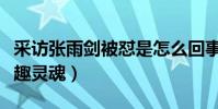 采访张雨剑被怼是怎么回事(论钢铁直男的有趣灵魂)