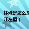 林殊是怎么成为宗主的（他在蔺晨帮助下壮大江左盟）
