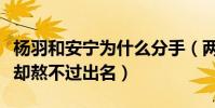 杨羽和安宁为什么分手(两人从藉藉无名携手却熬不过出名)