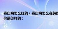 费启鸣怎么红的(费启鸣怎么在韩国红了费启鸣在韩国的评价是怎样的)