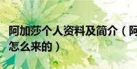 阿加莎个人资料及简介(阿婆阿加莎的称号是怎么来的)