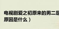 电视剧爱之初原来的男二是谁(爱之初抠图的原因是什么)