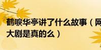 鹤唳华亭讲了什么故事(网传鹤唳华亭是虐心大剧是真的么)