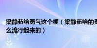 梁静茹给勇气这个梗(梁静茹给的勇气是什么梗这个梗是怎么流行起来的)