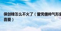 保剑锋怎么不火了(曾凭借帅气形象俘获不少迷妹深受大家喜爱)
