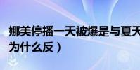 娜美停播一天被爆是与夏天吃饭(逆徒一哥谈为什么反)