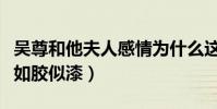 吴尊和他夫人感情为什么这么(相伴多年依然如胶似漆)