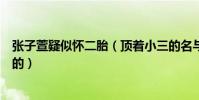 张子萱疑似怀二胎(顶着小三的名与陈赫到底是怎么走过来的)