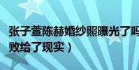 张子萱陈赫婚纱照曝光了吗(再甜蜜的昔日也败给了现实)