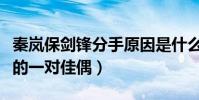 秦岚保剑锋分手原因是什么(当年是最受欢迎的一对佳偶)