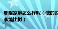 鹿晗家境怎么样呢(他的家境是否能与关晓彤家境比拟)