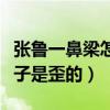 张鲁一鼻梁怎么回事（细心网友发现张鲁一鼻子是歪的）
