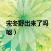 宋冬野出来了吗（宋冬野被关多久音乐才子自毁人生令人唏嘘）
