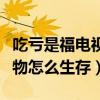 吃亏是福电视剧热播中（这部剧告诉我们小人物怎么生存）