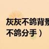 灰灰不鸽背景情况介绍（张大仙为什么和灰灰不鸽分手）